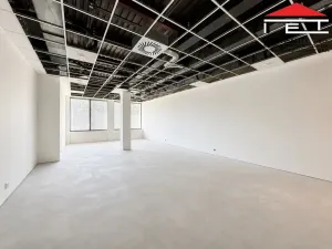 Pronájem kanceláře, Brno, Vídeňská, 65 m2