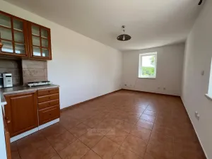 Pronájem bytu 1+kk, Hosín, 25 m2