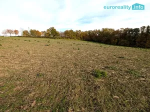 Prodej pozemku pro bydlení, Strakonice, 3986 m2