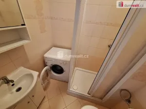 Pronájem bytu 1+kk, Praha - Vinohrady, Jana Masaryka, 26 m2