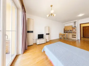 Prodej bytu 1+kk, Karlovy Vary, Jateční, 44 m2