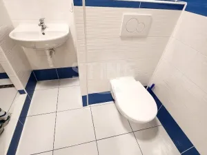 Pronájem bytu 1+1, Přerov, U Tenisu, 39 m2