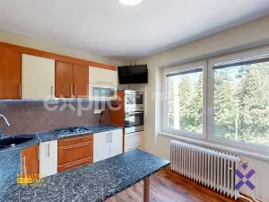 Pronájem bytu 3+1, Uherský Brod, Bedřicha Smetany, 74 m2