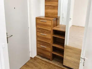 Pronájem bytu 1+1, Brno, Halasovo náměstí, 33 m2