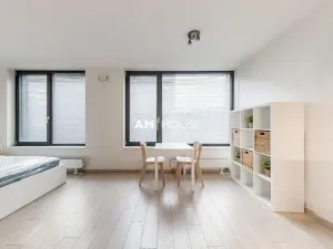 Pronájem bytu 1+kk, Praha - Karlín, Sokolovská, 38 m2