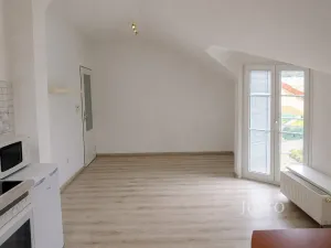 Prodej bytu 1+kk, Písek - Václavské Předměstí, Hostivítova, 35 m2