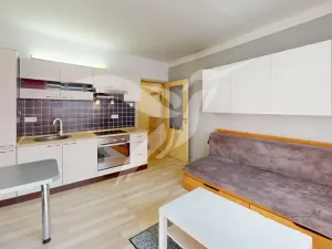 Pronájem bytu 1+kk, Plzeň, náměstí Generála Píky, 25 m2