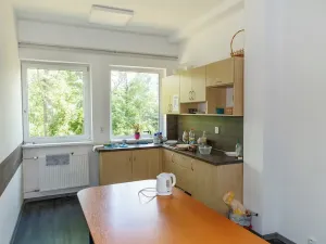 Prodej komerční nemovitosti, Dubí, Horská, 3047 m2
