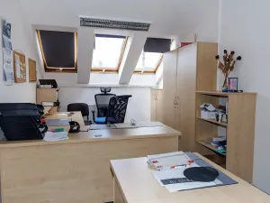 Prodej komerční nemovitosti, Dubí, Horská, 3047 m2