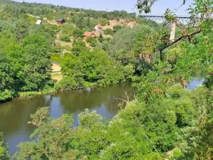 Prodej zahrady, Znojmo, 1116 m2