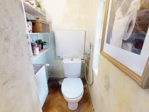 Prodej rodinného domu, Braňany, P. Bezruče, 266 m2