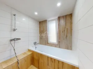 Prodej rodinného domu, Braňany, P. Bezruče, 266 m2