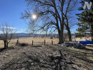 Prodej pozemku pro bydlení, Nová Pec, 2165 m2