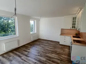 Pronájem bytu 1+kk, Rychnov u Jablonce nad Nisou, Mlýnská, 38 m2