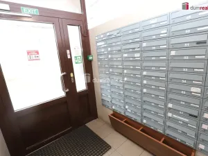 Pronájem bytu 1+kk, Karlovy Vary - Rybáře, U Koupaliště, 27 m2