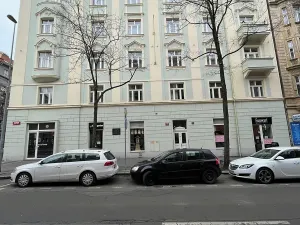 Pronájem bytu 1+kk, Praha - Žižkov, Slavíkova, 27 m2