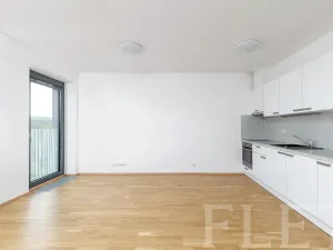 Pronájem bytu 1+kk, Praha - Žižkov, Olšanská, 36 m2