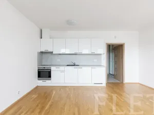 Pronájem bytu 1+kk, Praha - Žižkov, Olšanská, 36 m2