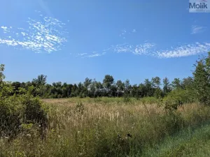 Prodej pozemku pro bydlení, Mariánské Radčice, Československé armády, 1155 m2