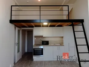Pronájem bytu 1+kk, Ostrava - Přívoz, Palackého, 26 m2