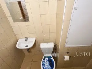 Pronájem bytu 1+1, Písek - Budějovické Předměstí, nábřeží 1. máje, 42 m2