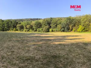 Prodej louky, Hoslovice, 33748 m2