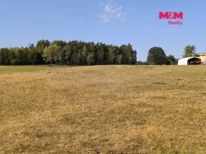 Prodej louky, Hoslovice, 2004 m2