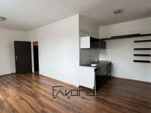 Pronájem bytu 1+kk, Ostrava, 30. dubna, 35 m2