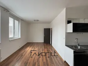 Pronájem bytu 1+kk, Ostrava, 30. dubna, 35 m2