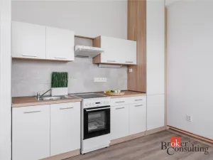 Pronájem bytu 2+kk, Mlékojedy, 57 m2