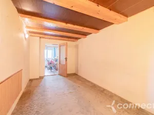 Prodej chalupy, Dolní Olešnice, 190 m2
