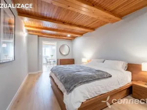 Prodej chalupy, Dolní Olešnice, 190 m2