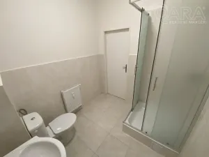 Pronájem bytu 3+kk, Ivanovice na Hané - Chvalkovice na Hané, 85 m2