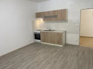 Pronájem bytu 3+kk, Ivanovice na Hané - Chvalkovice na Hané, 85 m2