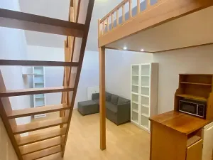 Pronájem bytu 1+kk, Praha - Krč, Štúrova, 31 m2