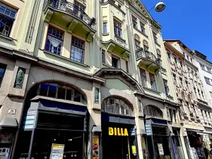 Pronájem obchodního prostoru, Brno, Minoritská, 430 m2