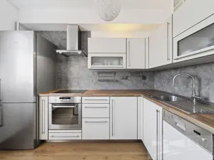 Prodej bytu 2+kk, Plzeň - Jižní Předměstí, U Radbuzy, 57 m2