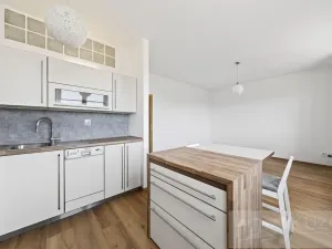 Prodej bytu 2+kk, Plzeň - Jižní Předměstí, U Radbuzy, 57 m2