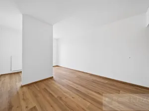 Prodej bytu 2+kk, Plzeň - Jižní Předměstí, U Radbuzy, 57 m2