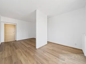 Prodej bytu 2+kk, Plzeň - Jižní Předměstí, U Radbuzy, 57 m2