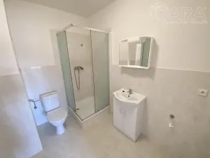 Pronájem bytu 1+kk, Ivanovice na Hané - Chvalkovice na Hané, 46 m2