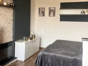 Prodej bytu 1+1, Frýdek-Místek, Bruzovská, 36 m2