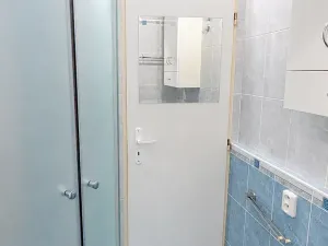 Prodej bytu 1+1, Zlín, L. Váchy, 48 m2