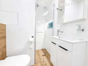 Pronájem bytu 1+kk, České Budějovice, Plzeňská, 19 m2
