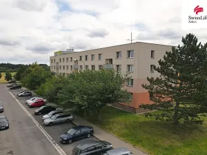 Pronájem bytu 1+1, Heřmanův Městec, V Lukách, 32 m2
