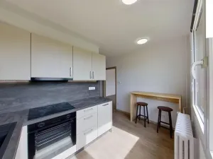 Pronájem bytu 1+1, Heřmanův Městec, V Lukách, 32 m2