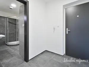 Pronájem bytu 1+kk, Brno, Křepelčí, 33 m2