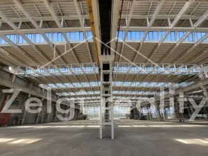Pronájem výrobních prostor, Veselí nad Moravou, 2000 m2