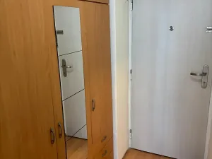 Pronájem bytu 1+1, Plzeň, Kyjevská, 29 m2