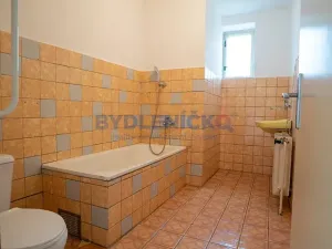 Prodej vícegeneračního domu, Střížov, 252 m2